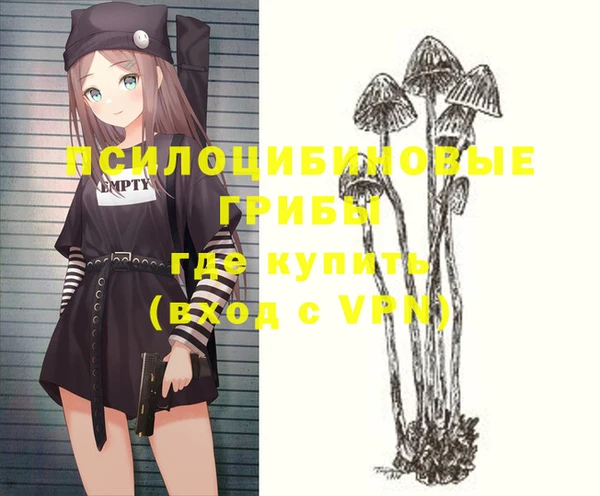 мдма Бородино