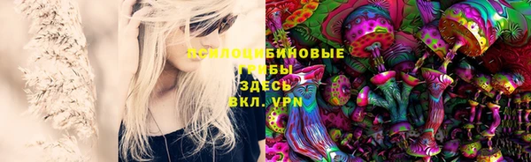 ГАЛЛЮЦИНОГЕННЫЕ ГРИБЫ Бугульма