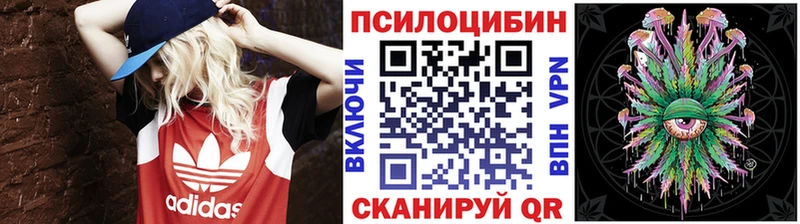 Купить где  Богородицк  Галлюциногенные грибы Psilocybe 